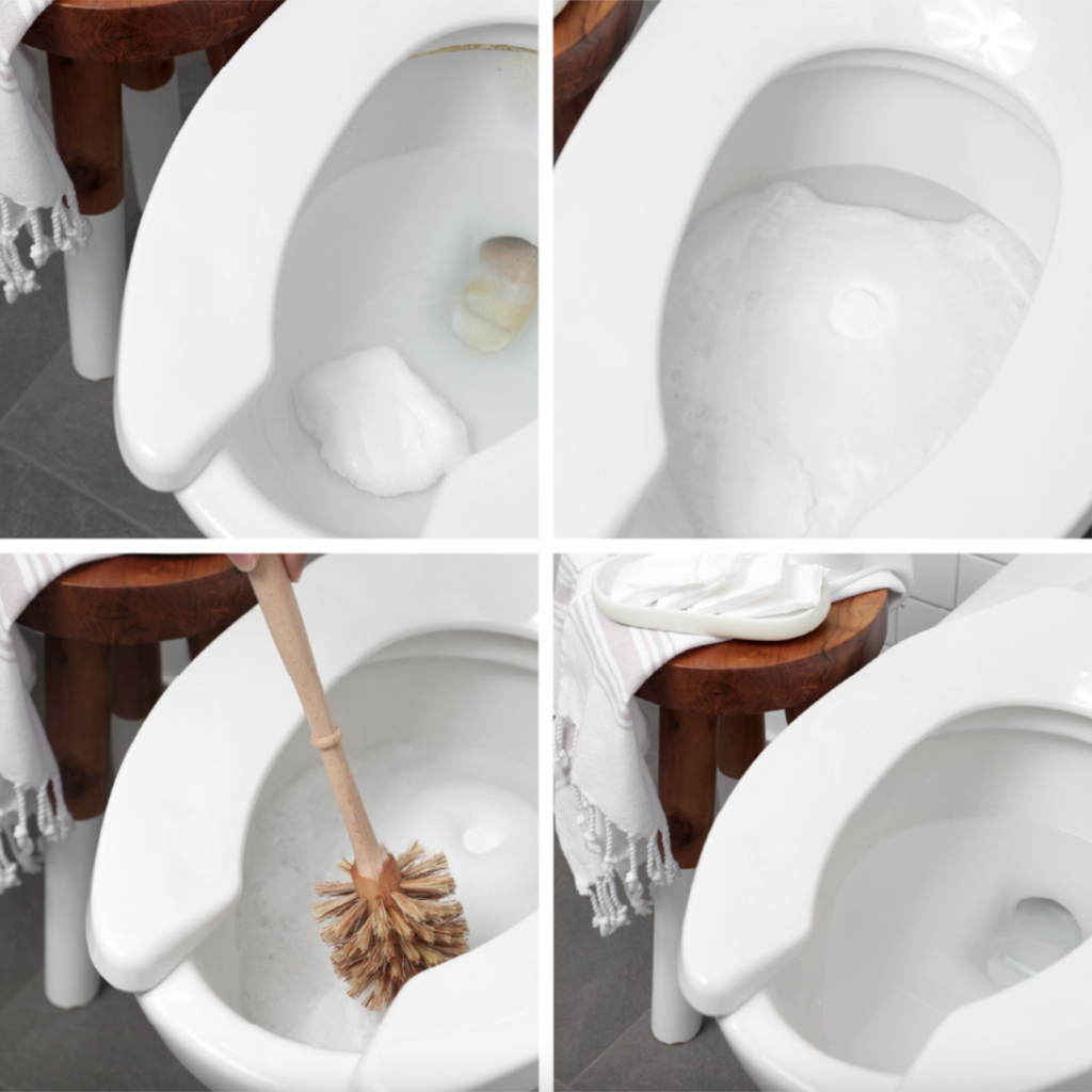 Ec30 Toilet Cleaner: Step by Step